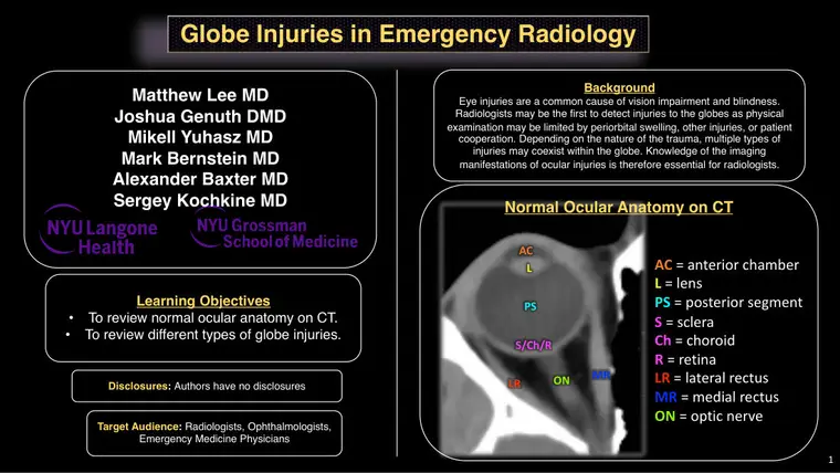 Cover of Globe Injuries in Emergency Radiology: A Case-Based Review